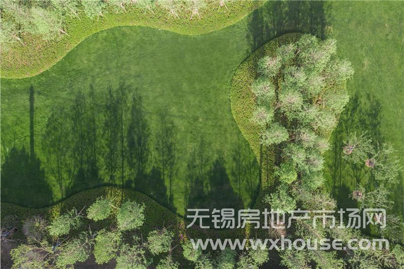 实景图