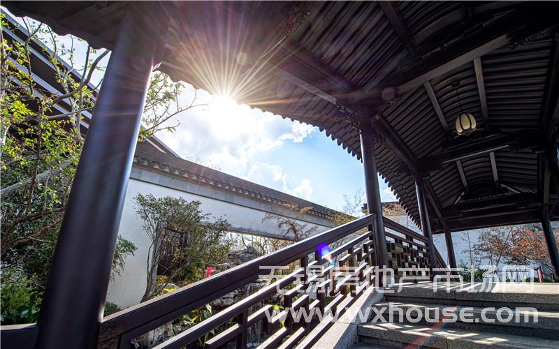示范区